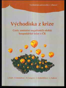 Jiří Kraft: Východiska z krize : cesty zmírnění negativních efektů hospodářské krize v ČR : monografie