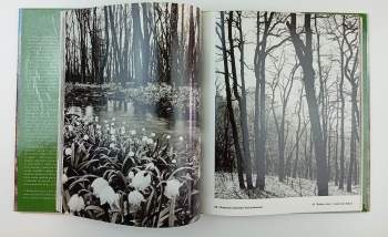 Dionýz Dugas: Východné Karpaty