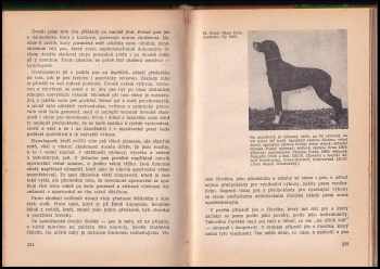 Jan Báča: Výcvik loveckých psů