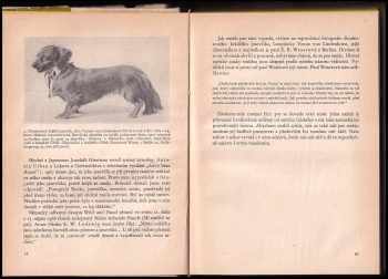 Jan Báča: Výcvik loveckých psů pro praxi