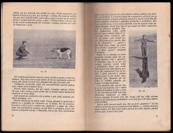 Josef Štůla: Výcvik psa