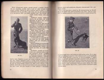 Josef Štůla: Výcvik psa