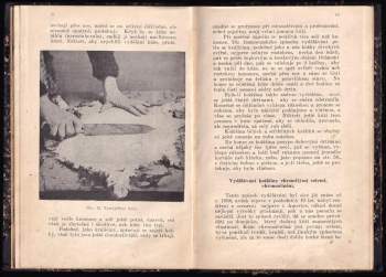 Břetislav Šetlík: Vydělávání, bílení, barvení a přebarvování králičích, zaječích i podobných koží po domácku