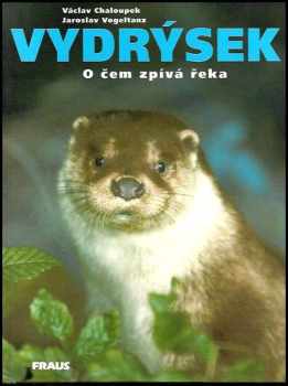 Vydrýsek