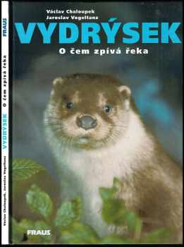 Vydrýsek