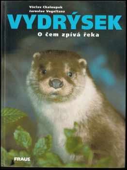 Vydrýsek : o čem zpívá řeka