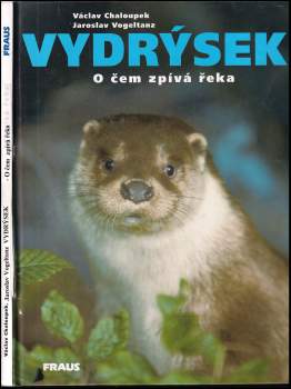 Vydrýsek : o čem zpívá řeka