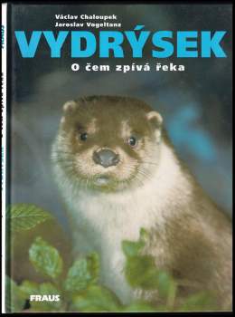 Vydrýsek