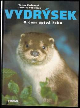 Vydrýsek