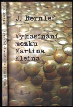 J Bernlef: Vyhasínání mozku Martina Kleina