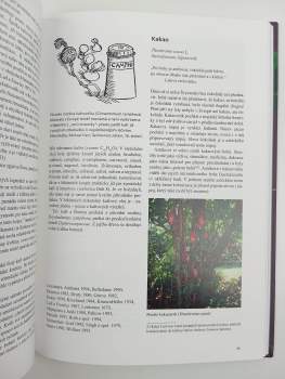 Christian Rätsch: Vykuřovadla