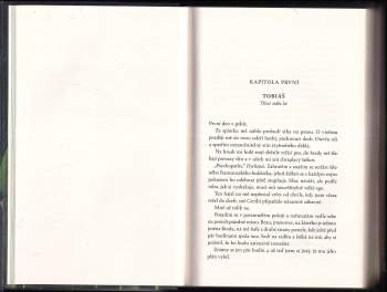 Kate Stewart: Vysněný cíl