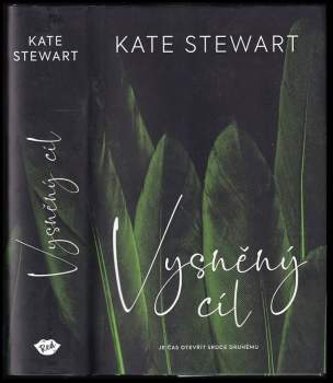 Kate Stewart: Vysněný cíl