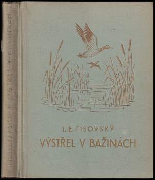 Výstřel v bažinách