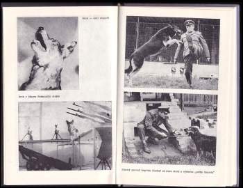 Zdeněk Šaroch: Výstřely z hranice