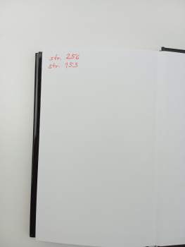 Jan od Kříže: Výstup na horu Karmel