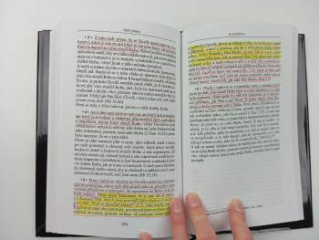 Jan od Kříže: Výstup na horu Karmel