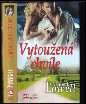 Elizabeth Lowell: Vytoužená chvíle