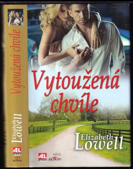 Elizabeth Lowell: Vytoužená chvíle