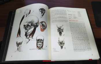 Radek Petříček: Výtvarná anatomie