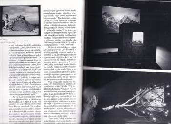 Výtvarné umění  - The magazine for contemporary art - Art in America