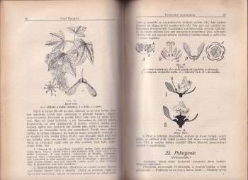 Josef Harapat: Vyučování rostlinopisu