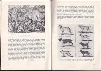 Jiří Andreska: Vývoj myslivosti