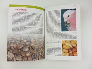 Rosemary Low: Výživa papoušků a drobného exotického ptactva