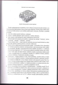 Václav Vaněk: Výživa zahradních rostlin