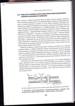 Václav Vaněk: Výživa zahradních rostlin