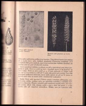 Eduard Baudyš: Význačné choroby a škůdci polních plodin a obrana proti nim