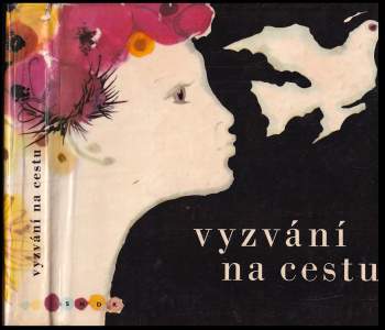 Vyzvání na cestu : Encyklopedie současné české poezie