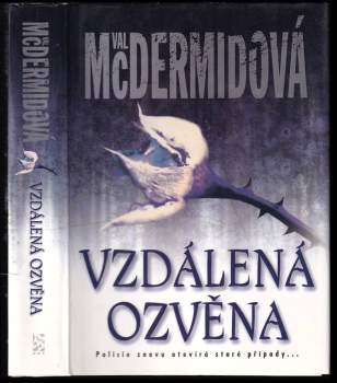 Vzdálená ozvěna