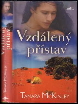 Vzdálený přístav