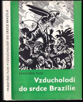 Vzducholodí do srdce Brazílie