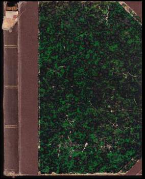 Vzducholodí kolem světa