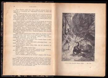 Jules Verne: Vzducholodí kolem světa