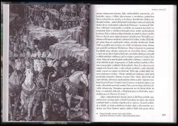 Alena Hartmanová: Vzestup a pád rodu Medici