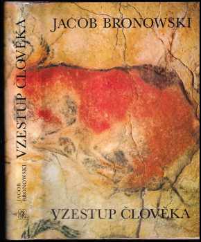 Vzestup člověka