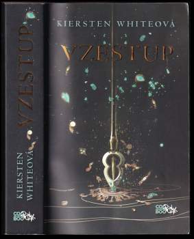 Vzestup