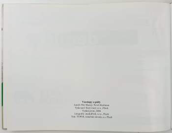 Petr Mazný: Vzestupy a pády, aneb, Historie FC Viktorie Plzeň