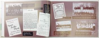 Petr Mazný: Vzestupy a pády, aneb, Historie FC Viktorie Plzeň