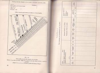 Jan Erlebach: Vzorkovanie a určovanie rudných zásob
