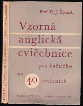 Vzorná anglická cvičebnice pro každého ve 40 cvičeních