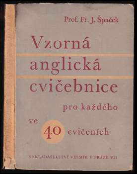 Vzorná anglická cvičebnice pro každého ve 40 cvičeních