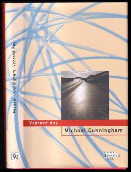 Michael Cunningham: Vzorové dny