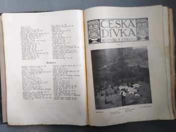 Vzory ženských ručních prací, ročník X. (1-10) příloha České dívky + Česká dívka, roč. X. (1-3;5-10) + Malý čtenář, roč. XXXII. (1-20)