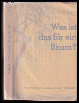 Was ist das für ein Baum?
