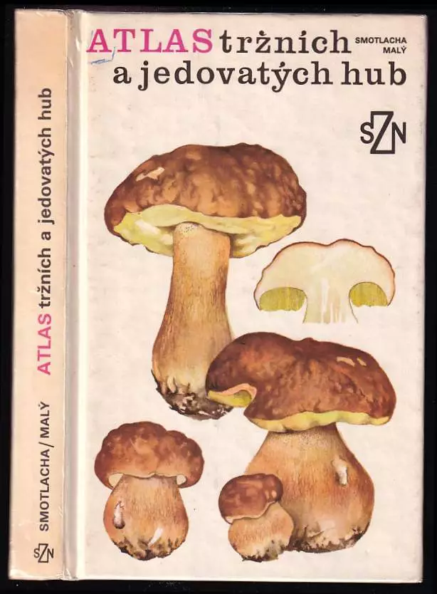 Atlas tržních a jedovatých hub
