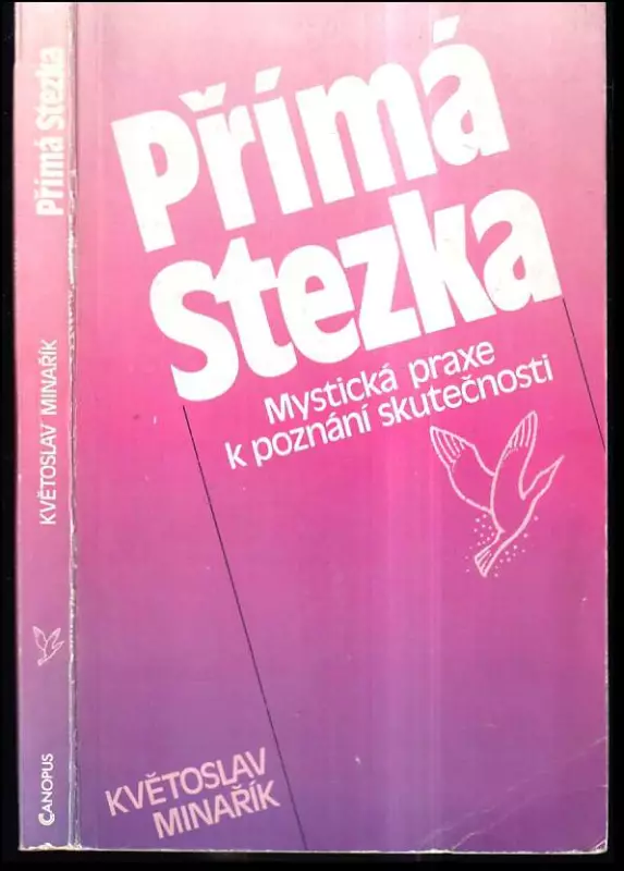 Beseda bohů : psychologie skutečnosti